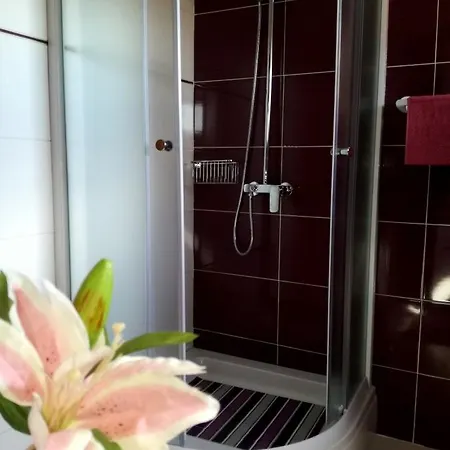 Holiday home Zigun Visocane